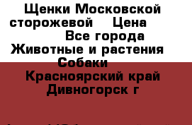 Щенки Московской сторожевой  › Цена ­ 25 000 - Все города Животные и растения » Собаки   . Красноярский край,Дивногорск г.